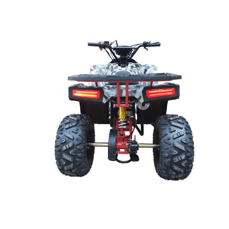 Factory directly 110CC/125CC ATV for adults ATV Quad for sale